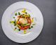 Round Plate 27 CM - Bright White Porcelain Body - Onda Collection Corby Hall 